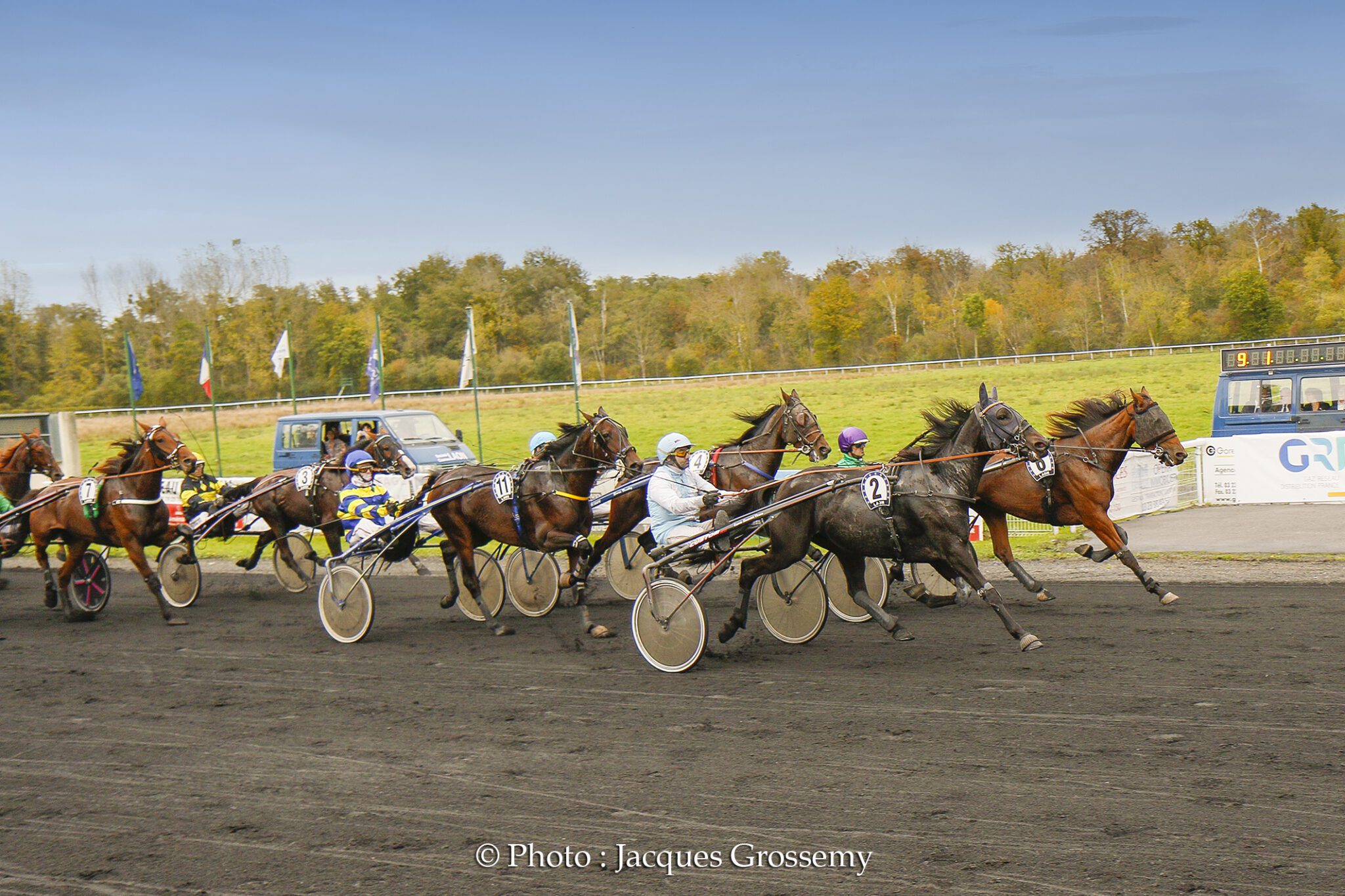 JADE DE BANVILLE - Fabrice BRIDAULT -2958